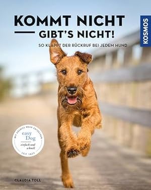 Kommt nicht, gibts nicht! So klappt der Rückruf bei jedem Hund.