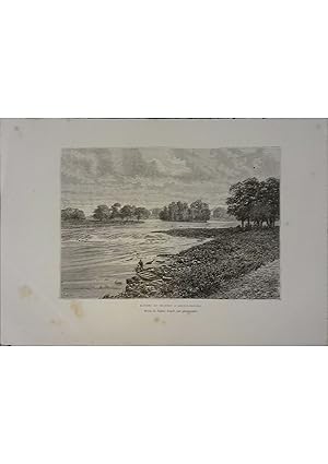 Rapides du Shannon à Castle-Connel. Gravure extraite de la Géographie universelle d'Elisée Reclus...