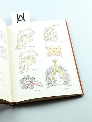 Unser Körper. Ein Buch vom Bau des menschlichen Körpers und von der Arbeit seiner Organe.