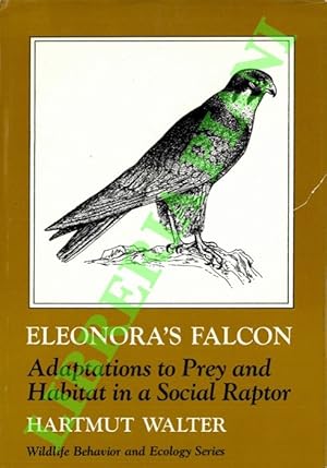 Eleonora's Falcon. Adaptation to prey and habitat in a social raptor.