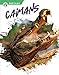 Image du vendeur pour Caimans (Reptiles) [Soft Cover ] mis en vente par booksXpress