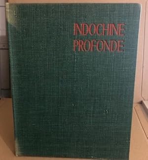 Immagine del venditore per Indochine profonde venduto da librairie philippe arnaiz