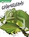 Imagen del vendedor de Chameleons (Reptiles) [Soft Cover ] a la venta por booksXpress