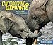 Seller image for Eavesdropping on Elephants: How Listening Helps Conservation [Soft Cover ] for sale by booksXpress