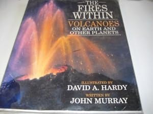 Seller image for FIRES WITHIN THE for sale by WeBuyBooks