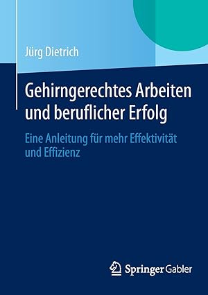 Gehirngerechtes Arbeiten und beruflicher Erfolg: Eine Anleitung für mehr Effektivität und Effizienz.