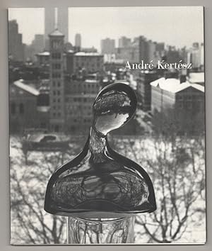 Bild des Verkufers fr Andre Kertesz: New York State of Mind zum Verkauf von Jeff Hirsch Books, ABAA