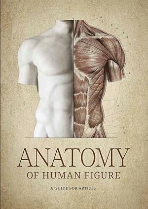 The Anatomy of Human Figure. A Guide for Artists. In English