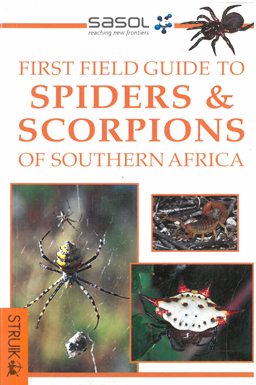 First Field Guide to Spiders & Scorpions.