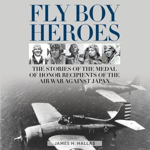 Seller image for Fly Boy Heroes : The Stories of the Medal of Honor Recipients of the Air War Against Japan for sale by GreatBookPricesUK