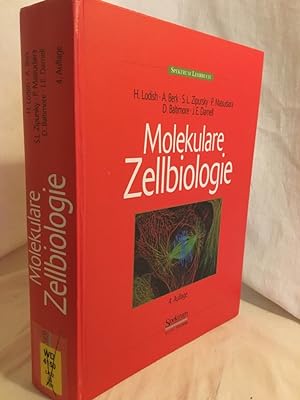 Imagen del vendedor de Molekulare Zellbiologie. a la venta por Versandantiquariat Waffel-Schrder