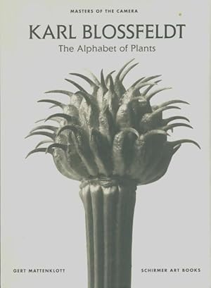 Image du vendeur pour Alphabet of Plants - Karl Blossfeldt mis en vente par Book Hmisphres