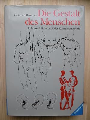 Bild des Verkufers fr Die Gestalt des Menschen. Lehr- und Handbuch der Knstleranatomie. zum Verkauf von Antiquariat Steinwedel