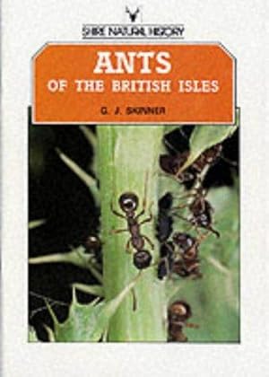 Imagen del vendedor de Ants of the British Isles: 21 (Shire natural history) a la venta por WeBuyBooks