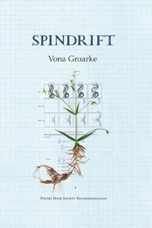 Bild des Verkufers fr Spindrift zum Verkauf von WeBuyBooks