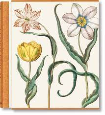 Bild des Verkufers fr Basilius Besler. The Garden at Eichsttt. 3 vols. zum Verkauf von Vuestros Libros