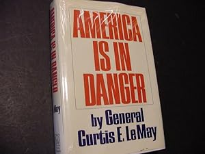 Imagen del vendedor de America Is In Danger (SIGNED) a la venta por Daniel Montemarano