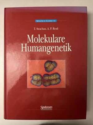 Seller image for Molekulare Humangenetik for sale by Books.Unlimited