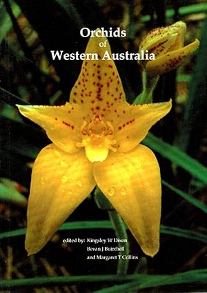 Imagen del vendedor de Orchids of Western Australia : cultivation and natural history a la venta por Muir Books -Robert Muir Old & Rare Books - ANZAAB/ILAB