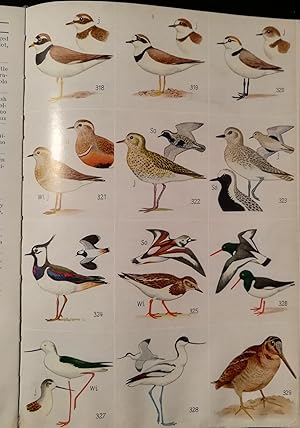 Was fliegt denn da ? Das Taschenbuch: Vögel Mitteleuropas. Mit 512 vielfarbigen und rund 250 einf...