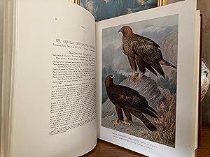 Seller image for A Monograph of The Birds of Prey (Order Accipitres). for sale by Colin Page Books