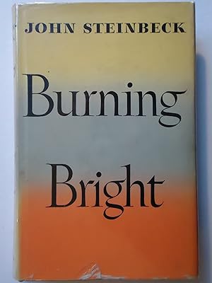 Seller image for BURNING BRIGHT. A Play in Story Form for sale by GfB, the Colchester Bookshop
