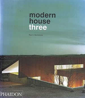 Modern House Three