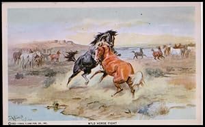 Seller image for art postcard: Wild Horse Fight for sale by Mobyville