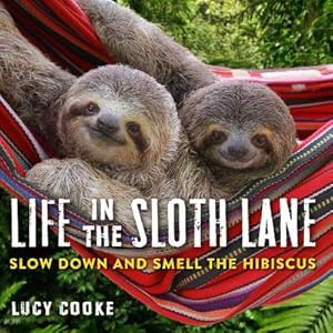 Immagine del venditore per Life in the Sloth Lane: Slow Down and Smell the Hibiscus (Hardback or Cased Book) venduto da BargainBookStores