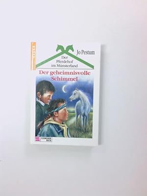 Seller image for Der Pferdehof im Mnsterland, Bd.2, Der geheimnisvolle Schimmel Bd. 2. Der geheimnisvolle Schimmel for sale by Antiquariat Buchhandel Daniel Viertel