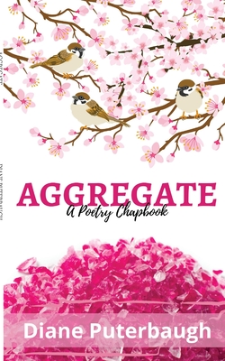 Seller image for Aggregrate (Paperback or Softback) for sale by BargainBookStores