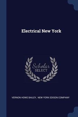 Seller image for Electrical New York (Paperback or Softback) for sale by BargainBookStores