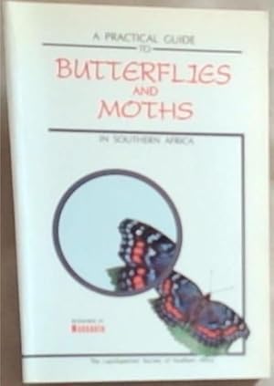 Immagine del venditore per A Practical Guide To Butterflies And Moths in Southern Africa venduto da Chapter 1