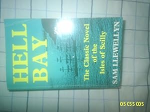 Seller image for Hell Bay for sale by WeBuyBooks