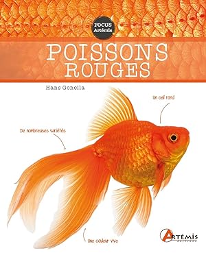 Poissons rouges