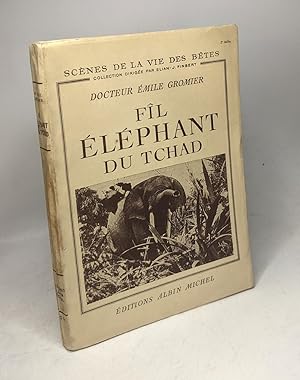 Fil éléphant du tchad / scènes de la vie des bêtes