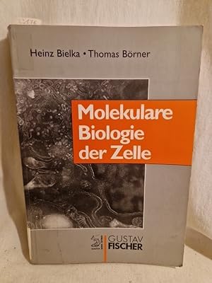 Imagen del vendedor de Molekulare Biologie der Zelle. a la venta por Versandantiquariat Waffel-Schrder