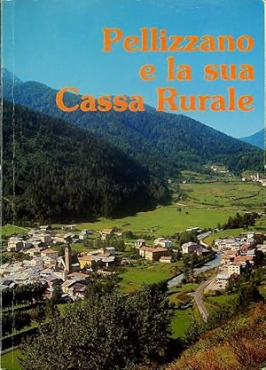 Immagine del venditore per Pellizzano e la sua Cassa rurale. venduto da Studio Bibliografico Adige