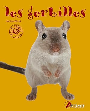 LES GERBILLES