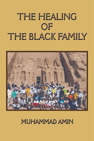 Imagen del vendedor de Healing of the Black Family a la venta por GreatBookPrices