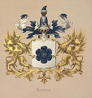 Wapenkaart/Coat of Arms: Coloured coat of arms Ruysch, 1 p.