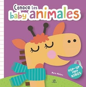 Imagen del vendedor de Conoce los baby animales. Pop-up para nios. a la venta por La Librera, Iberoamerikan. Buchhandlung