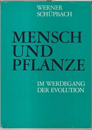 Bild des Verkufers fr Mensch und Pflanze im Werdegang der Evolution. zum Verkauf von Antiquariat Carl Wegner