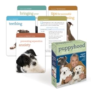 Imagen del vendedor de Puppyhood Deck: 50 Tips for Raising the Perfect Dog (Cards) a la venta por BargainBookStores