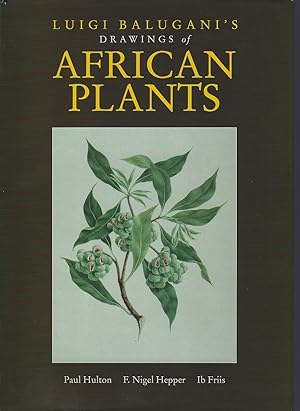 Luigi Balugani's Drawings of African Plants - from the collection made by James Bruce of Kinnaird...