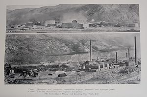 Effect of Sulphur Dioxide on Vegetation