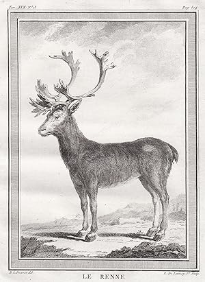 Seller image for Le Renne" - Ren Rentier Reindeer Siberia Tundra Sibirien Hirsch deer for sale by Antiquariat Steffen Vlkel GmbH
