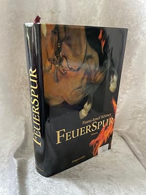Bild des Verkufers fr Feuerspur: Roman Roman zum Verkauf von Antiquariat Jochen Mohr -Books and Mohr-