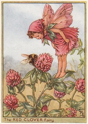 The Red Clover Fairy