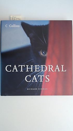 Bild des Verkufers fr Cathedral Cats, zum Verkauf von Antiquariat Maiwald